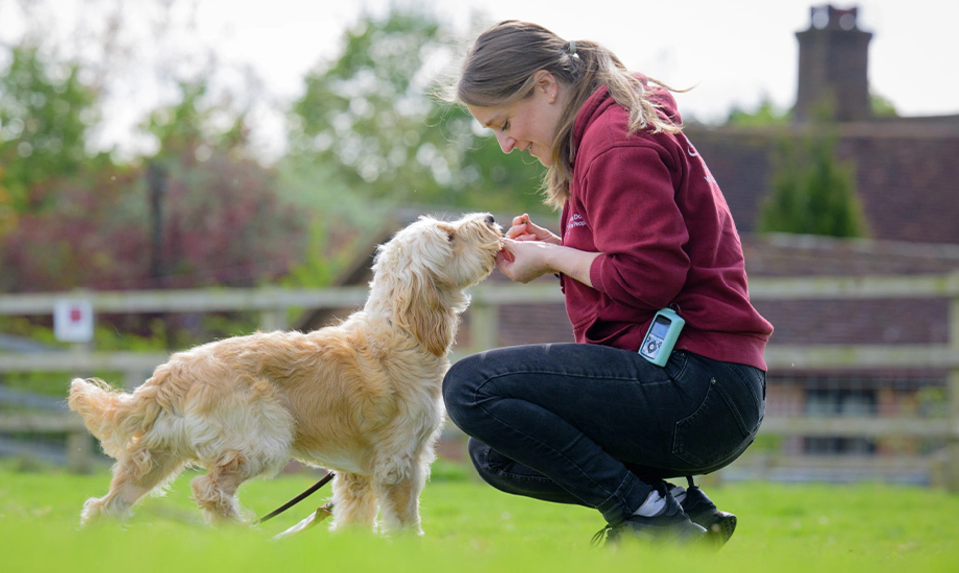 Meg with a golden cockerpoo