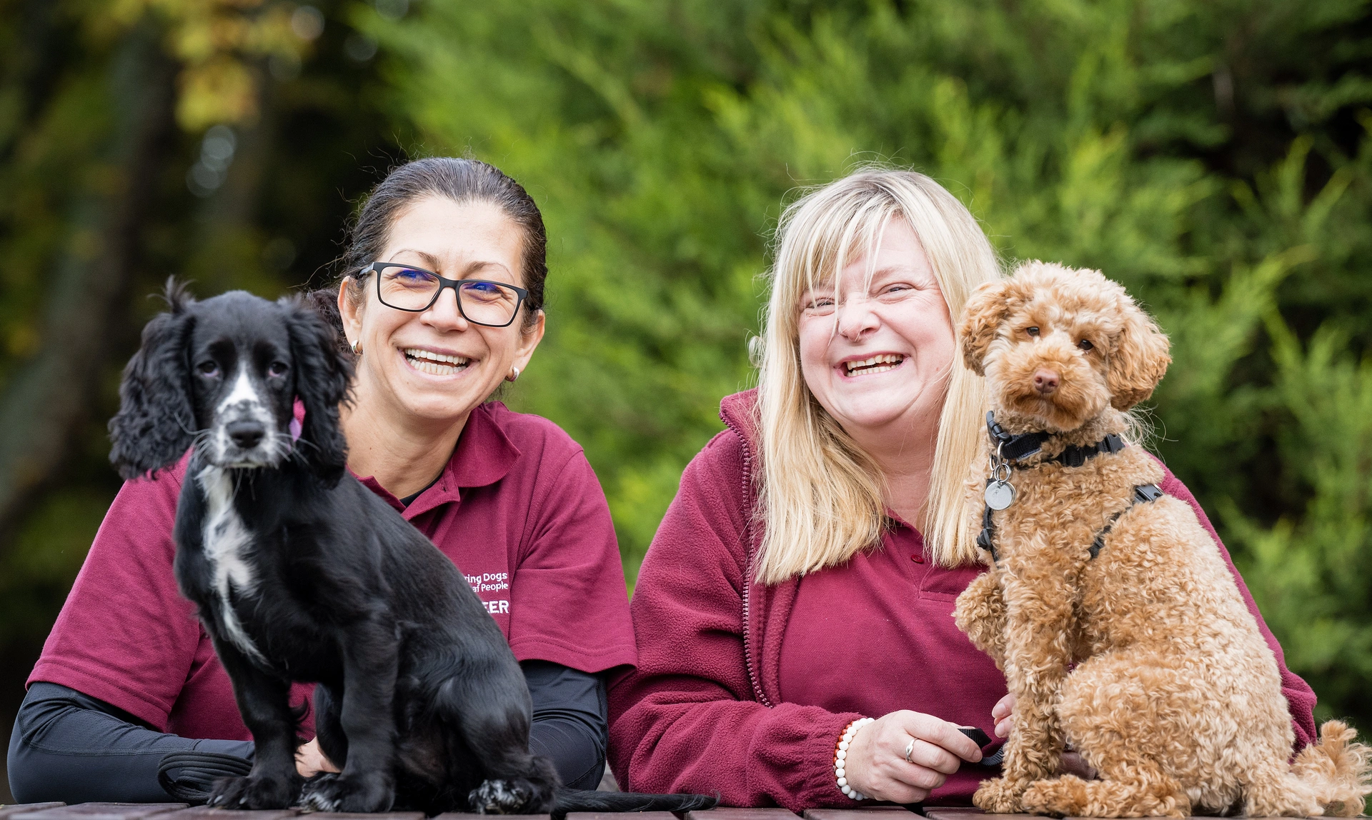 Two laughing women wearing hearing dogs volunteer uniform, the women have a Spaniel puppy and a Cockapoo puppy in front of them
