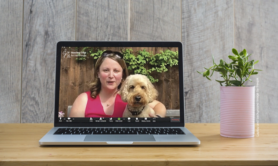 A woman and her hearing dog talking on a laptop screen, the laptop is on a table with a plant next to it
