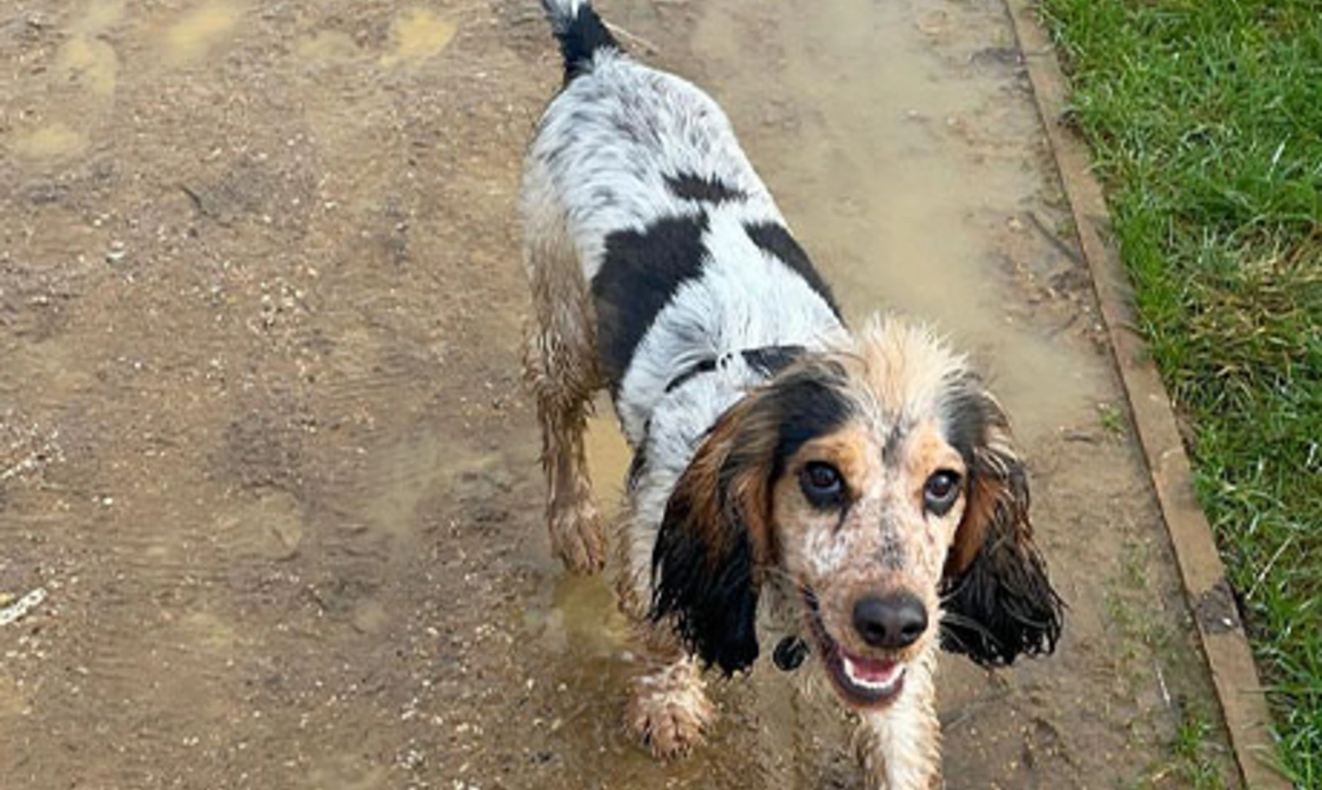 Noah walking in the mud