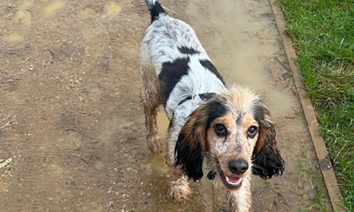 Noah walking in the mud