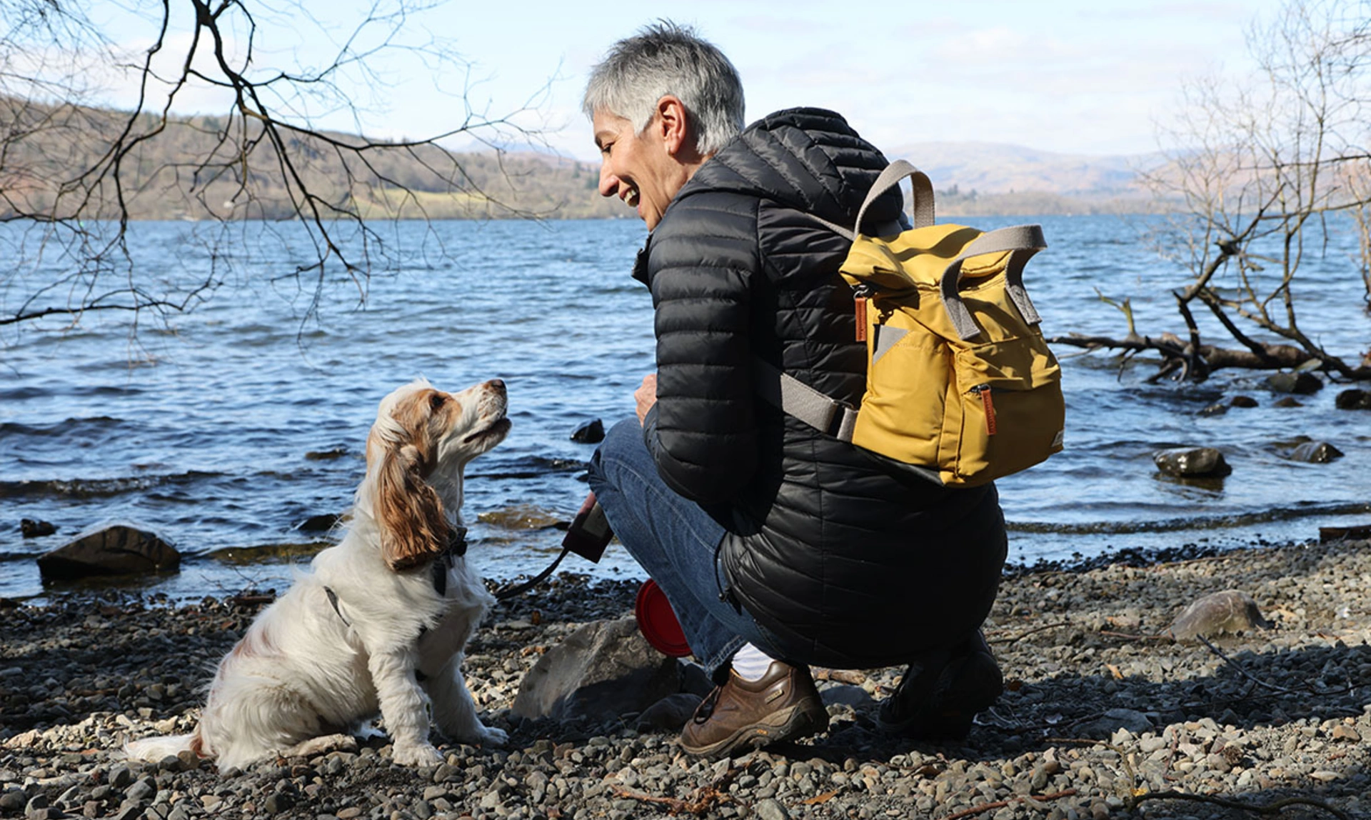 Orange roan spaniel sitting and looking up at smiling lady crouched down opposite her