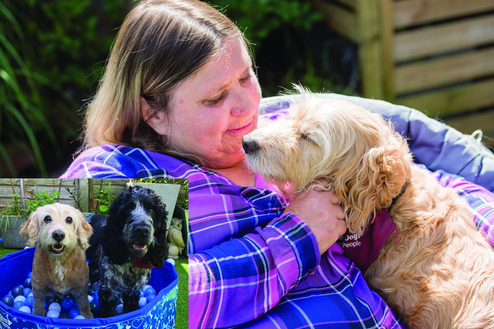Mary and retired hearing dog Harley, and Harley next to hearing dog Rose