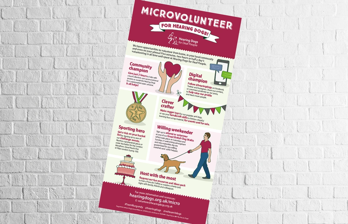  Hand-drawn illustration of an information sheet that shows all the different types of volunteering available with descriptions and illustrations for each on a white brick wall background