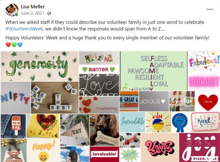 Facebook post about Volunteers week describing our volunteer family in one word collage