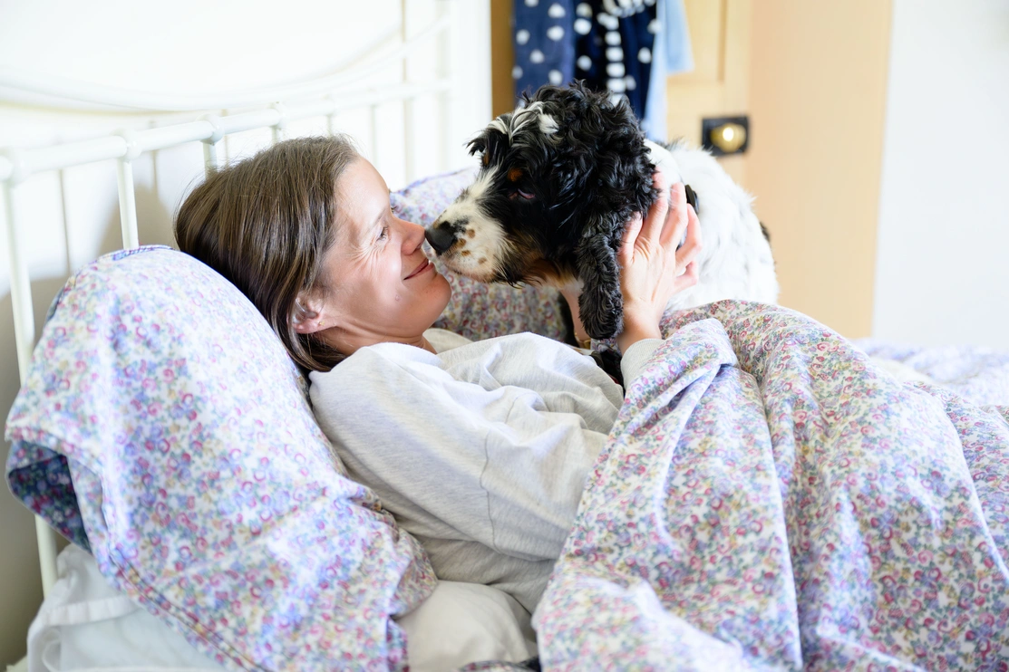 A Cocker Spaniel nuzzling their deaf partner while the partner is in bed