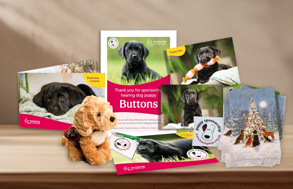 Hearing dogs sponsorship welcome pack for a puppy called Buttoons, including a soft toy, notepad, pen, sticker, certificate and postcards. A pack of Christmas cards is also included.