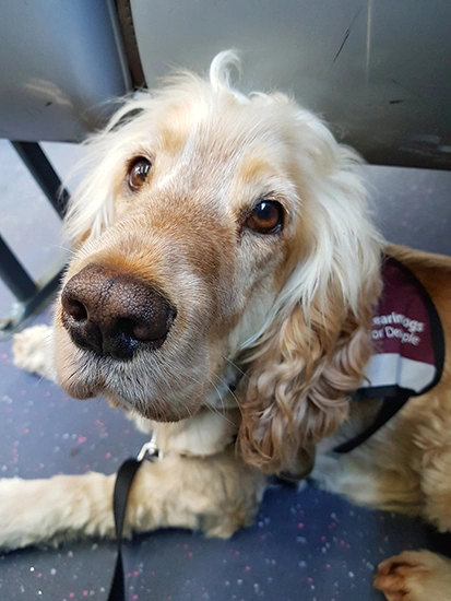 A close up of Albert's face as he looks up. He is settled on the floor of a bus, still wearing his jacket.