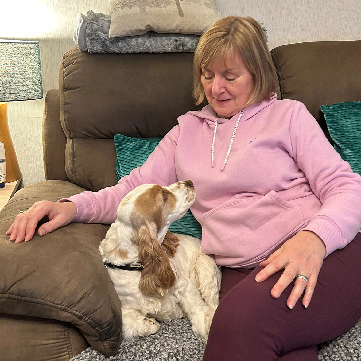 Orange roan spaniel cuddled up on sofa with lady wearing pink jumper