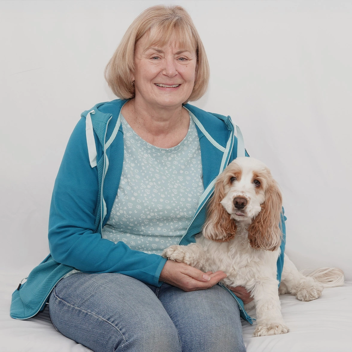 Orange roan spaniel snuggled sitting next to lady on a white studio background