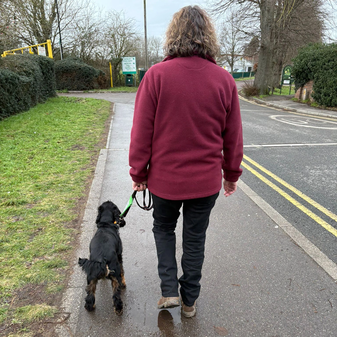 Black Spaniel walking on lead alongside lady wearing burgundy fleece