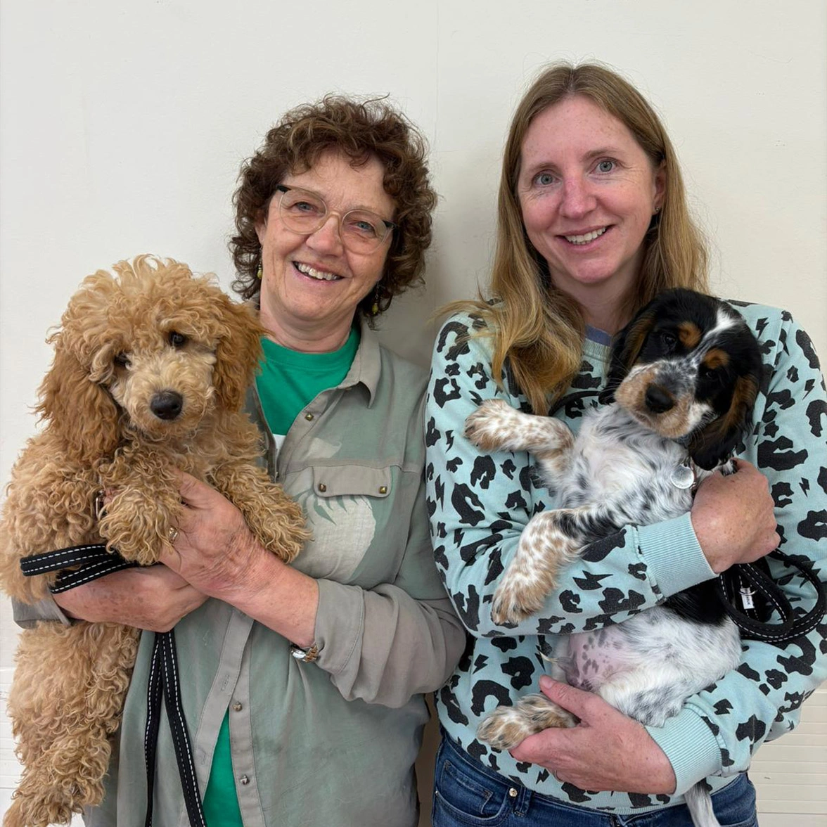 Left to right: hearing dog trainee Gem with her volunteer Sue, and your sponsor pup Iggy with his volunteer Jane