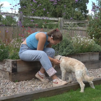 A young woman is sitting on a garden bench. She is leaning forward to greet a light coloured dog.