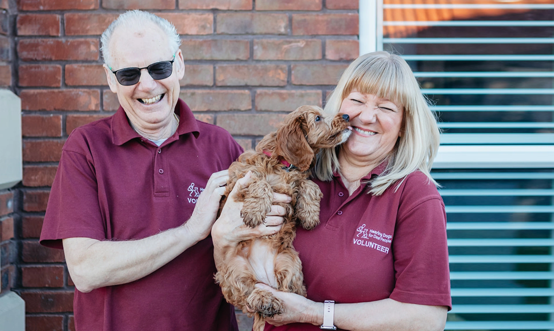 A man and a woman in hearing dogs volunteer uniform both laughing as the puppy held by the woman licks her face