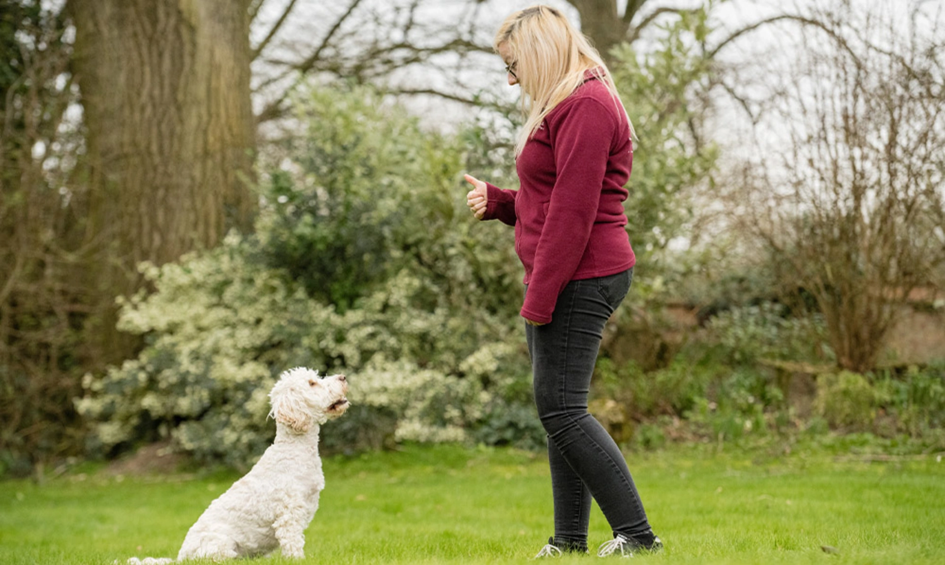 Profile of a Hearing Dogs trainer outside in a field doing a hand gesture in front of a happy looking cockapoo sat obediently in front of them