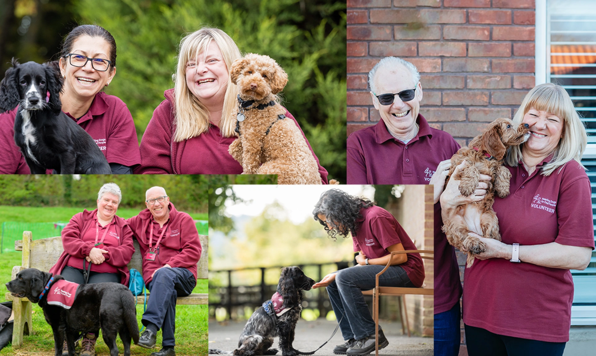 Montage of happy hearing dogs volunteers with dogs