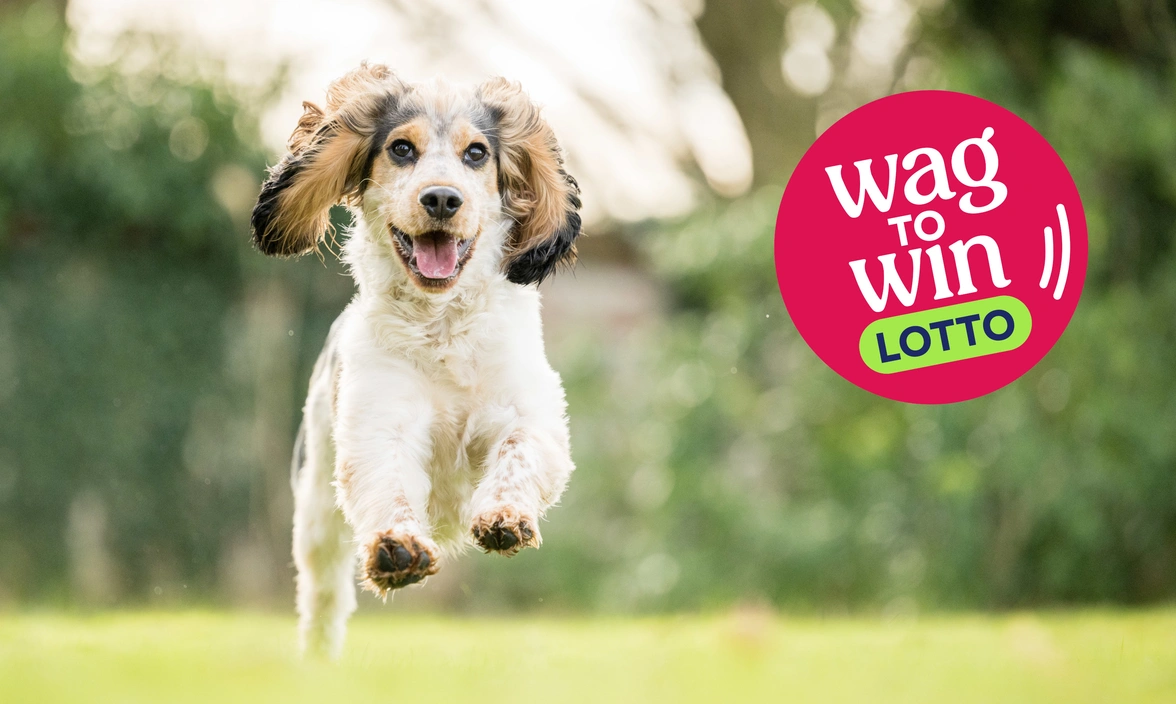 A light coloured dog is running excitedly in a grassy area. A burgundy circle on the right has the text "wag to win lotto" within.