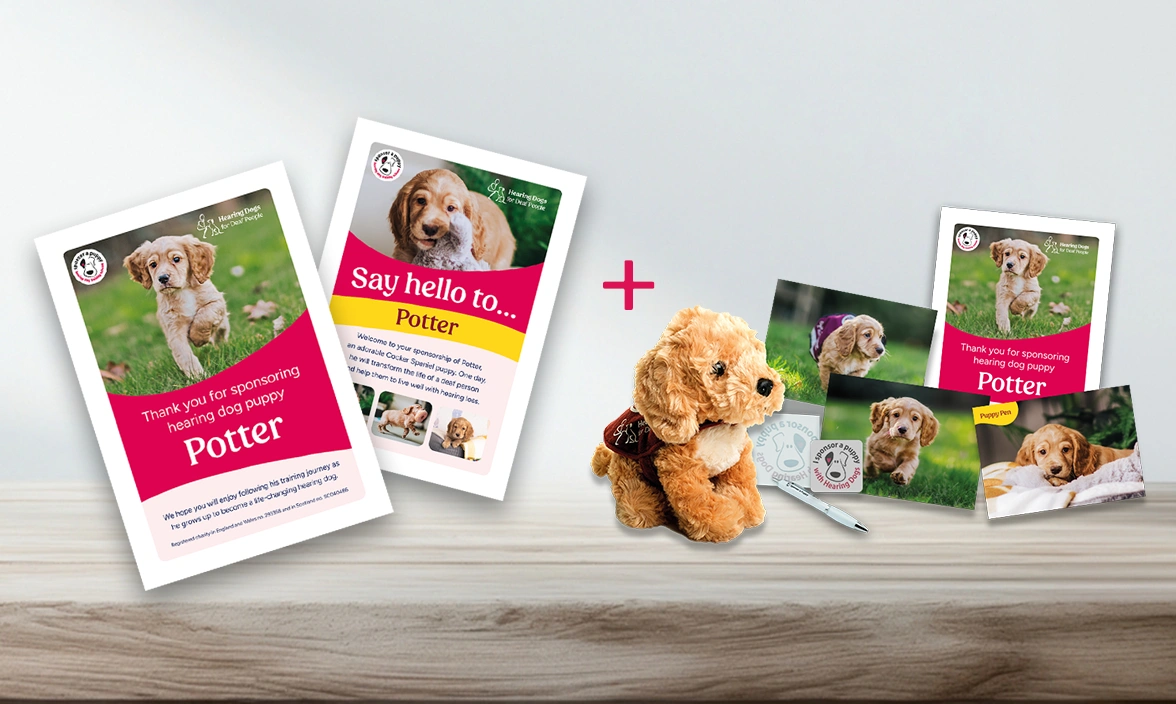 a cuddly toy, postcards, and certificates showing a puppy called Potter with a wooden decoration next to them