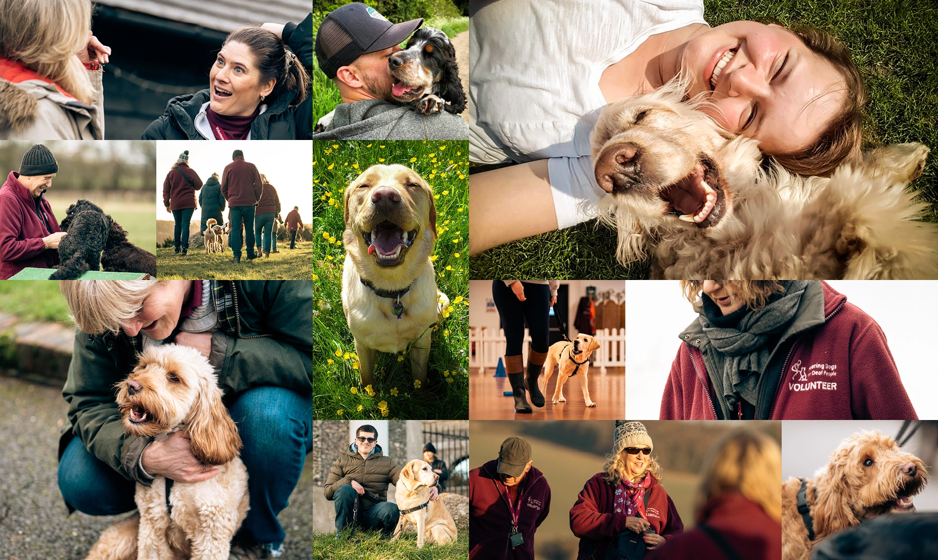 A mosaic image of several photos of people and dogs. There are lots of smiles and doggie grins.