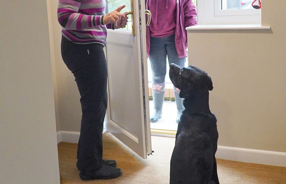  A labrador sits by an open door looking at the person who has opened the door while someone stands outside