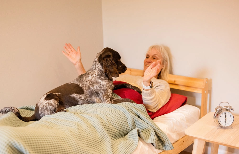 A spaniel on a bed on top of a volunteer dog trainer who has their arms up in a ‘what is it? gesture