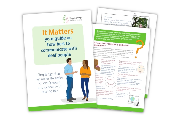 A preview of the it matters guide