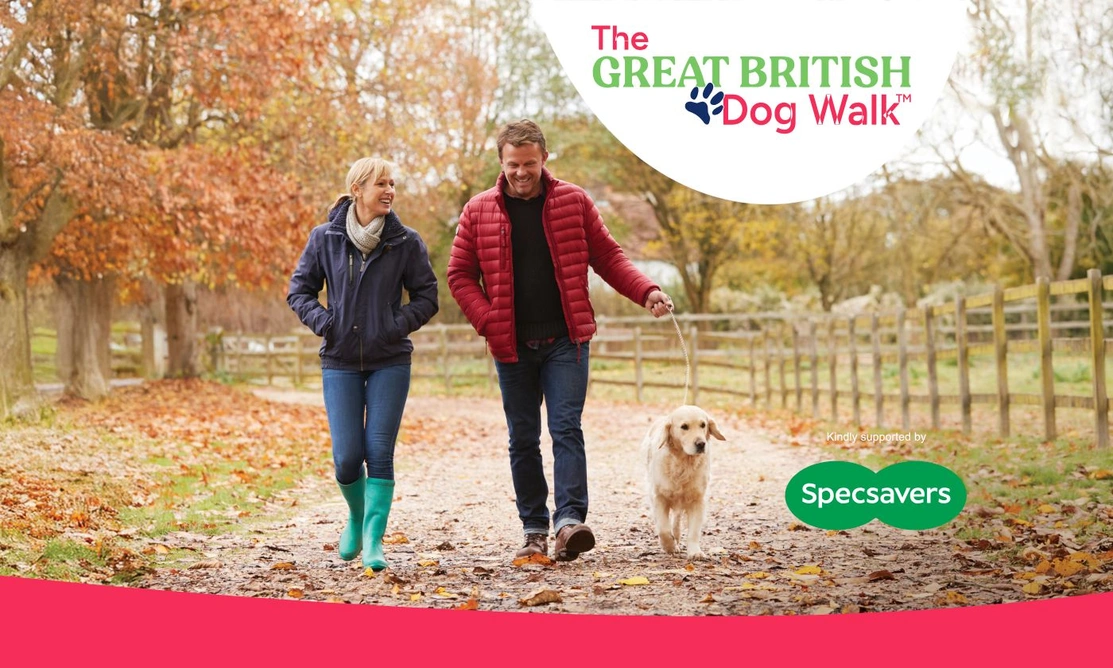 A man, a woman and a dog on a lead are walking on a path. There are trees lining one side and a fance on the other. It looks like autumn.