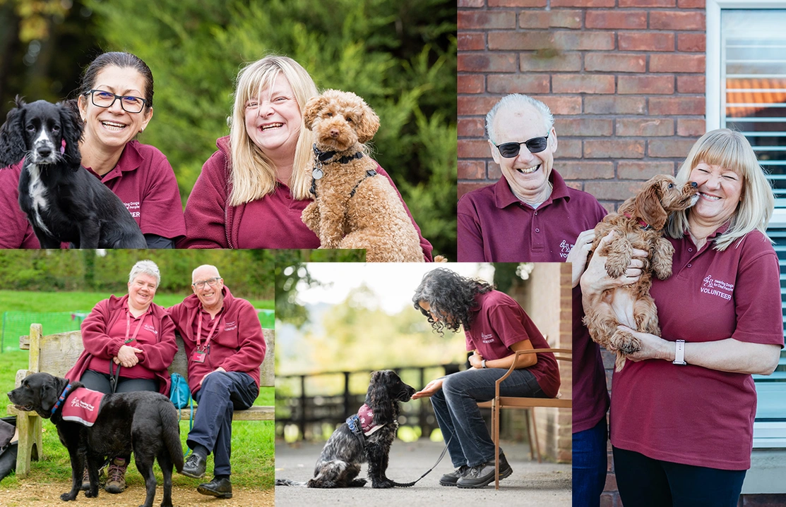 Montage of happy hearing dogs volunteers with dogs