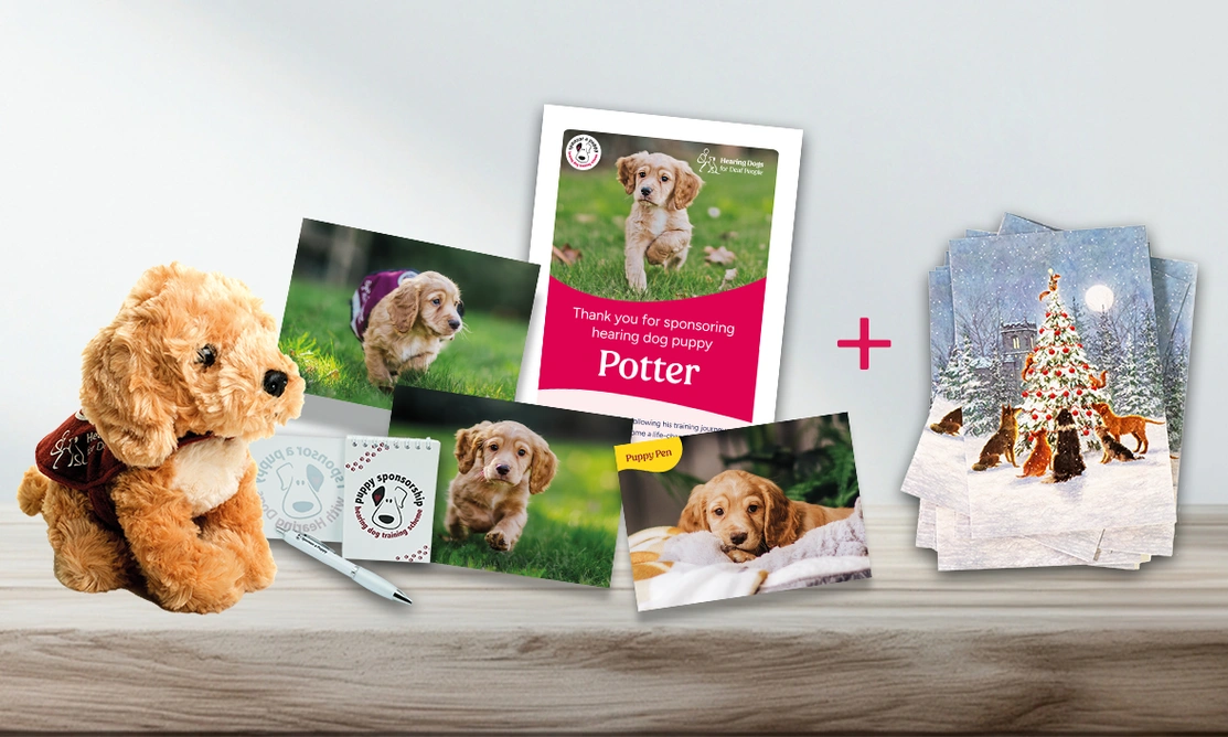 Sponsor a puppy welcome pack featuring cuddly toy, sticker, pen, postcards, certificate and Christmas cards