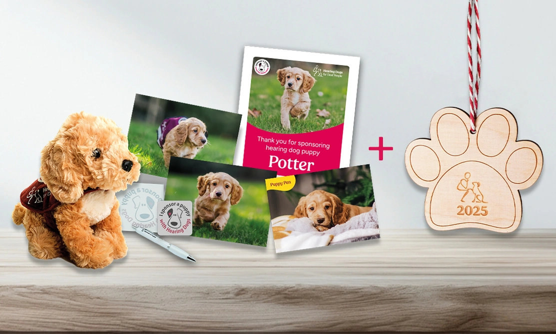 a cuddly toy, postcards, and certificates showing a puppy called Potter with a wooden decoration next to them