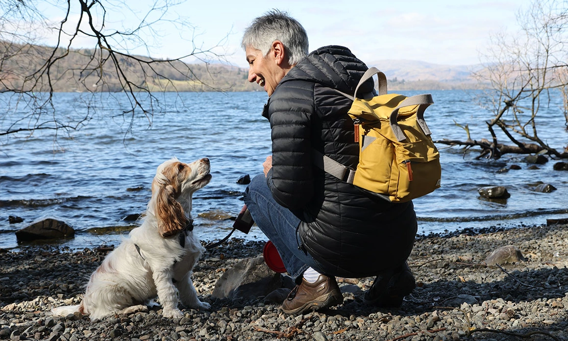 Orange roan spaniel sitting and looking up at smiling lady crouched down opposite her