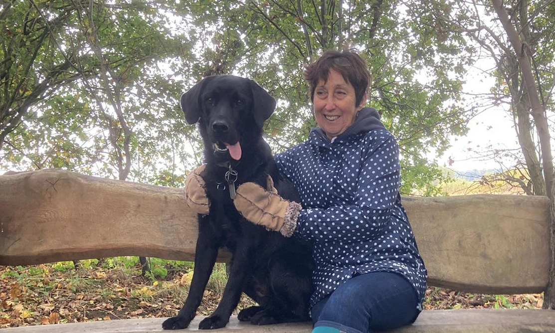 Black Labrador with tongue out sitting next to lady on bench