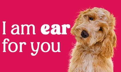 ear for you campaign image; dog with head titled