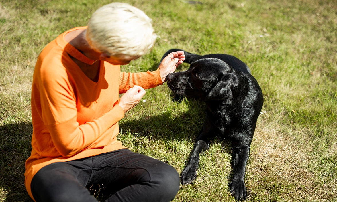 Lady in orange top sitting on the grass stroking a black Labrador who is settled down next to her